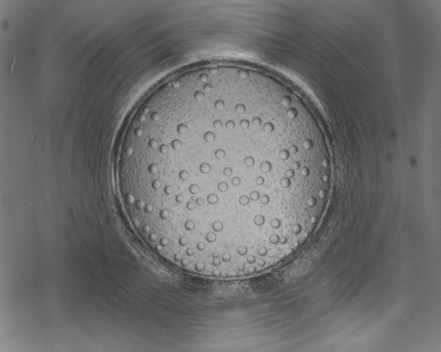 X0000078300887200611031014