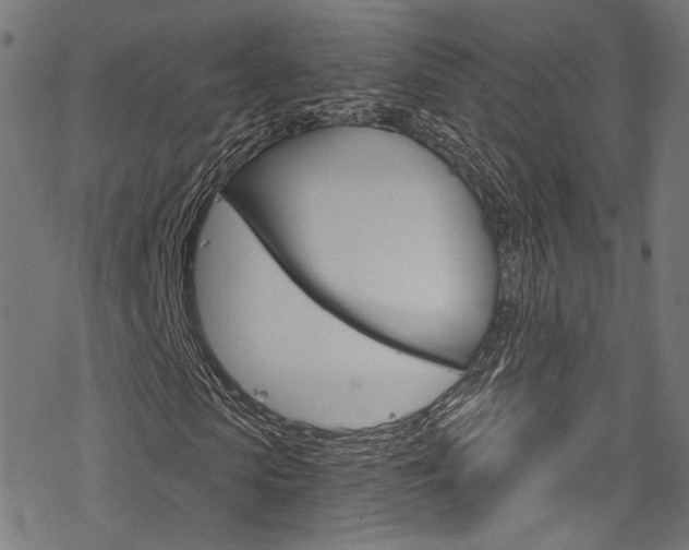 X0000078300913200611031013