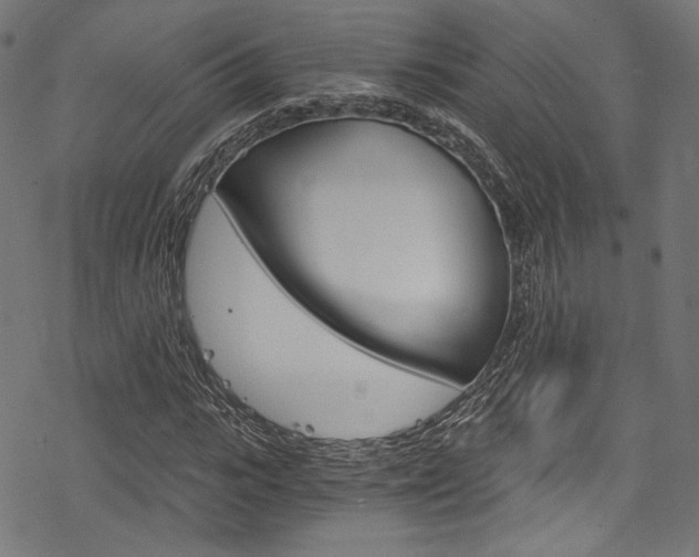 X0000078300919200611031013