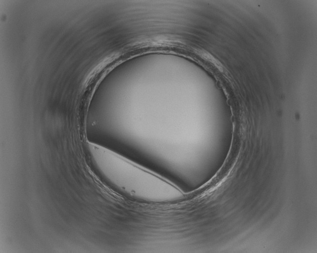 X0000078300922200611031013