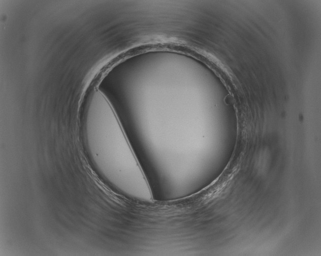 X0000078300927200611031013