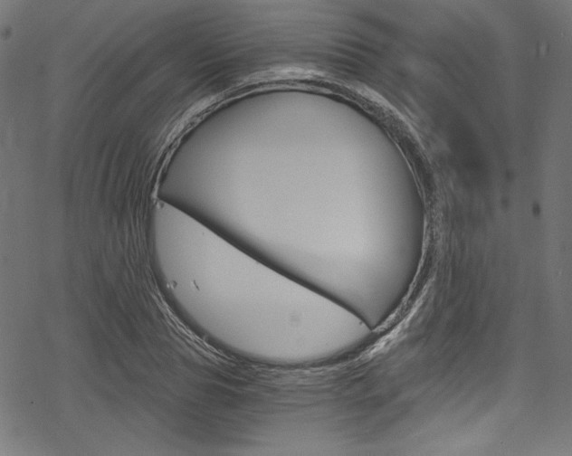 X0000078300929200611031013