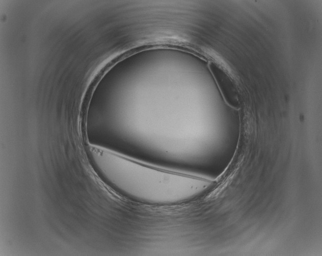 X0000078300932200611031013