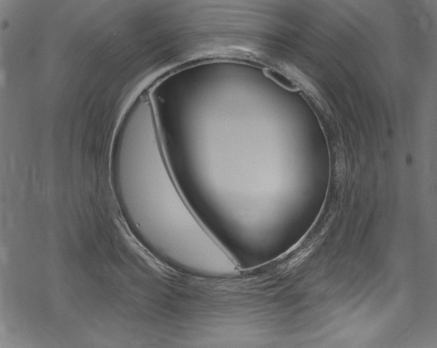 X0000078300940200611031013