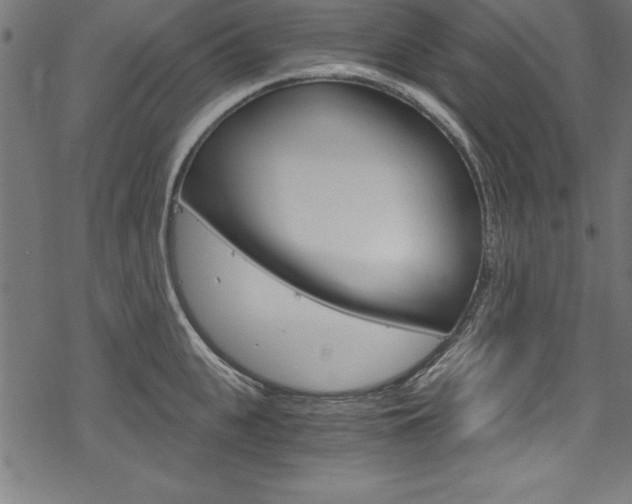 X0000078300951200611031014