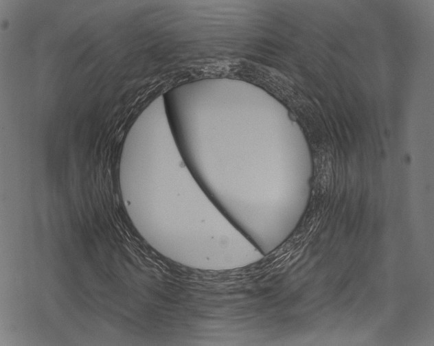 X0000078300962200611031013