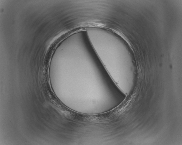 X0000078300971200611031013