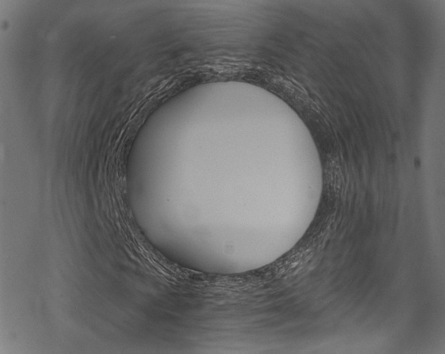 X0000078301009200611031011
