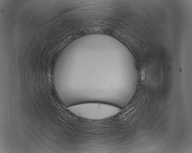 X0000078301011200611031011