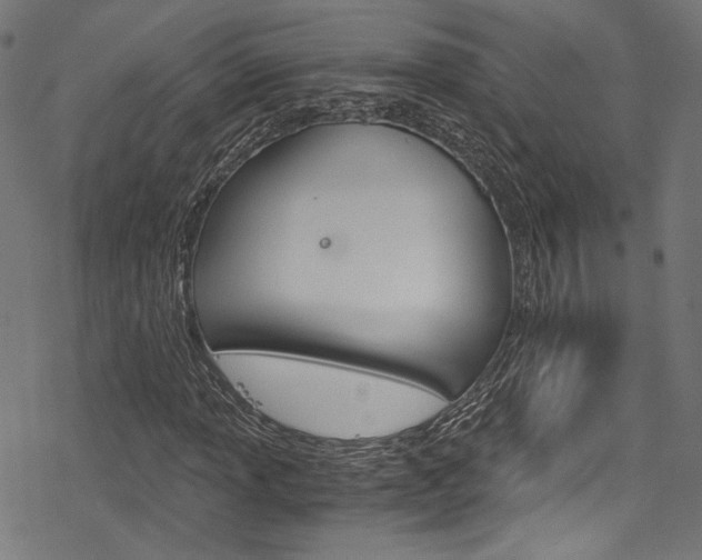 X0000078301013200611031012