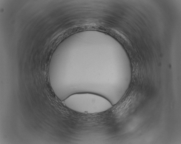 X0000078301015200611031012