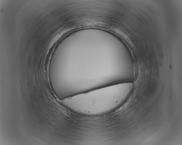X0000078301023200611031012