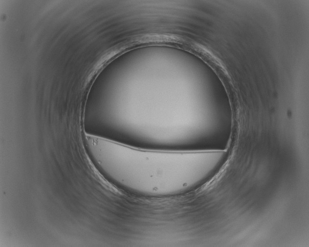 X0000078301033200611031012