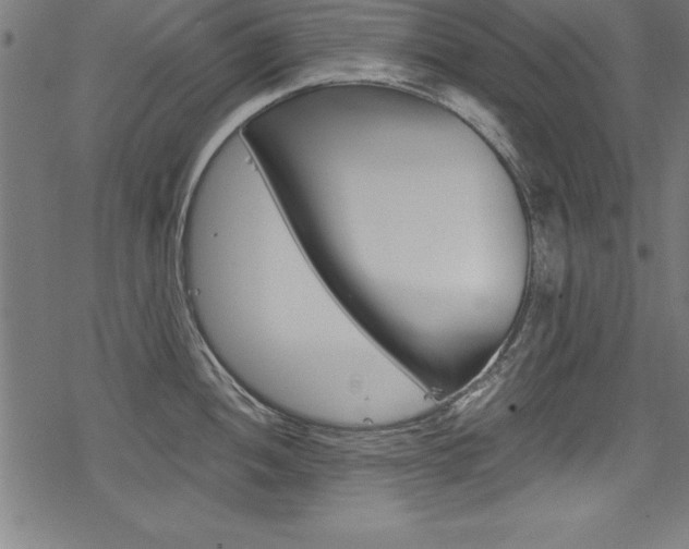 X0000078301052200611031012