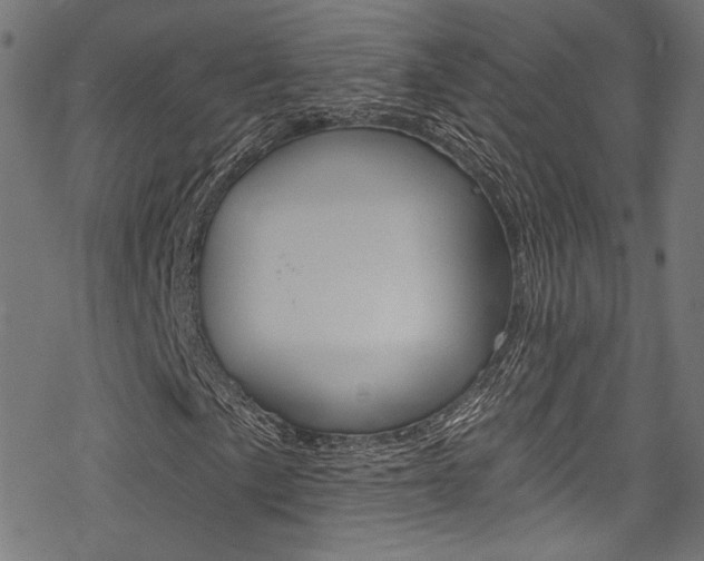 X0000078301057200611031011