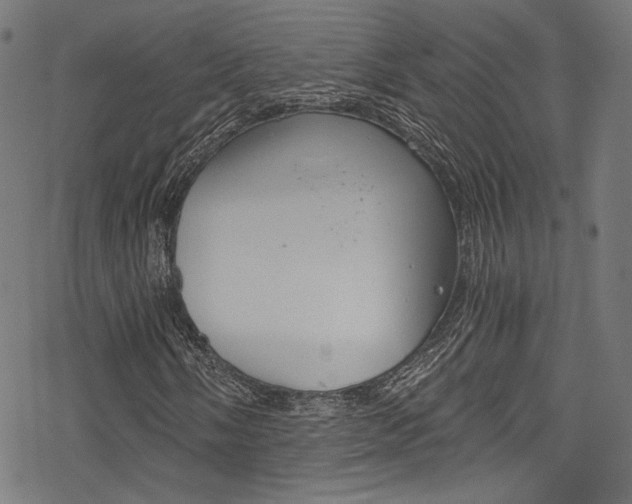 X0000078301058200611031011