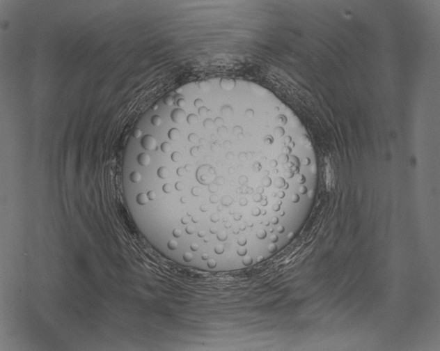 X0000078301059200611031011