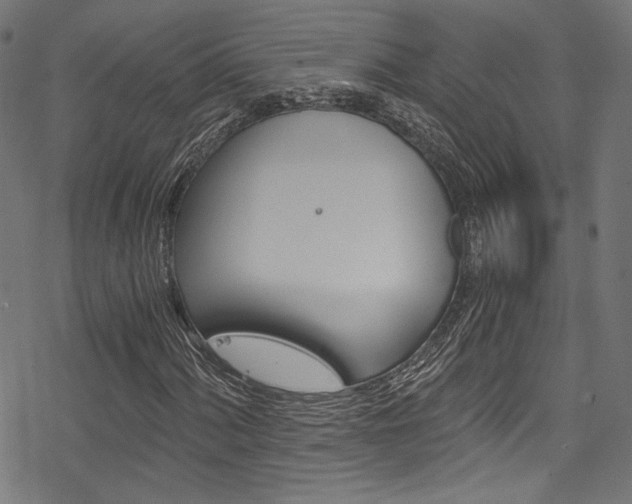 X0000078301060200611031011