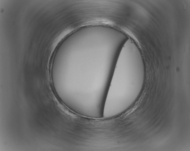 X0000078301087200611031011