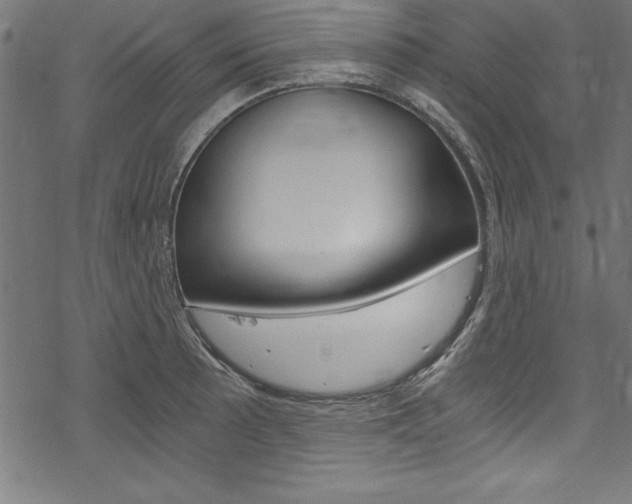 X0000078301089200611031011