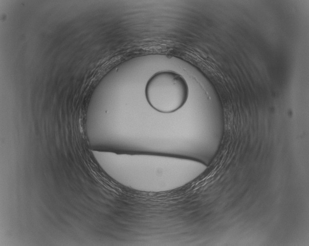 X0000078301106200611031010