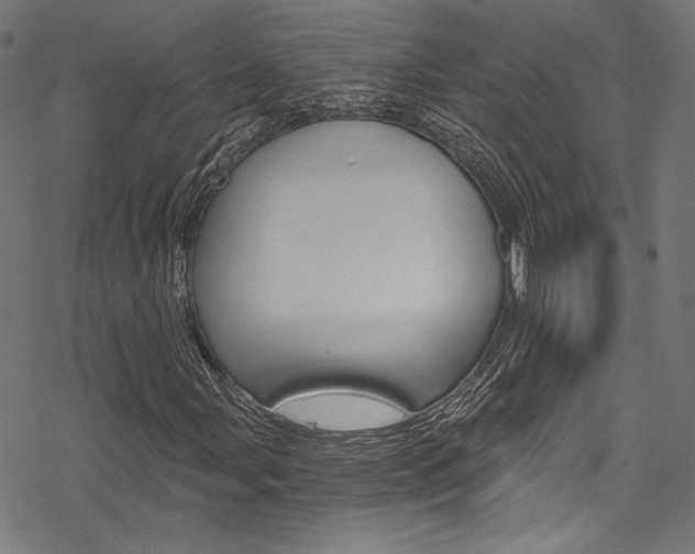 X0000078301107200611031010