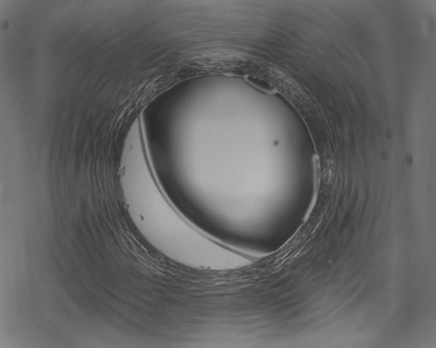 X0000078301108200611031010