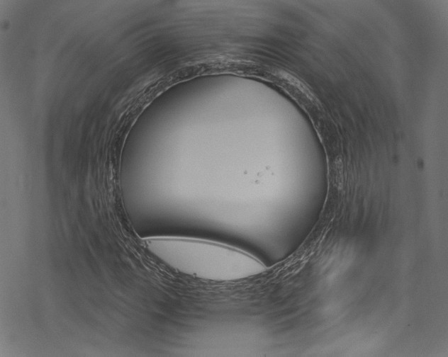 X0000078301111200611031010