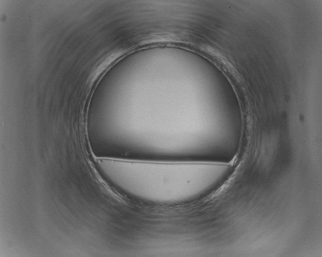 X0000078301129200611031010