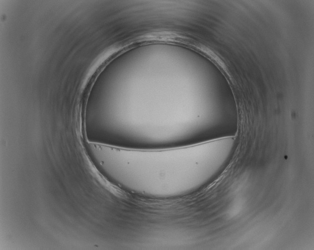 X0000078301131200611031010