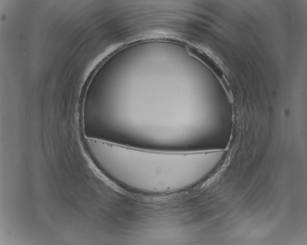 X0000078301134200611031010