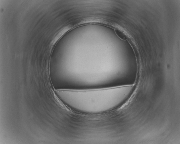X0000078301137200611031010