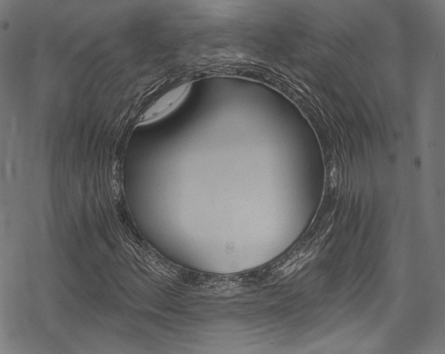 X0000078301156200611031010