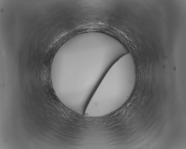 X0000078301158200611031010