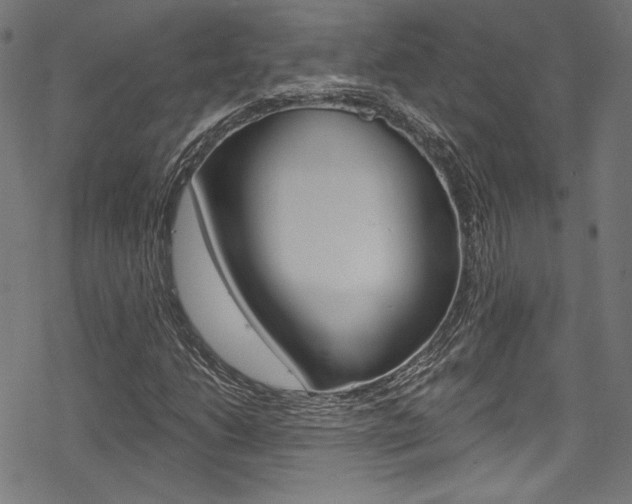 X0000078301206200611031008