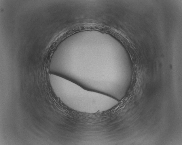 X0000078301207200611031008