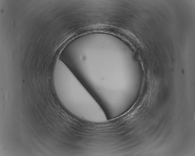 X0000078301209200611031008