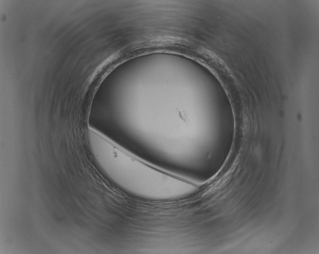 X0000078301210200611031008