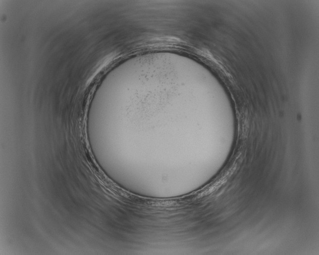 X0000078301211200611031008
