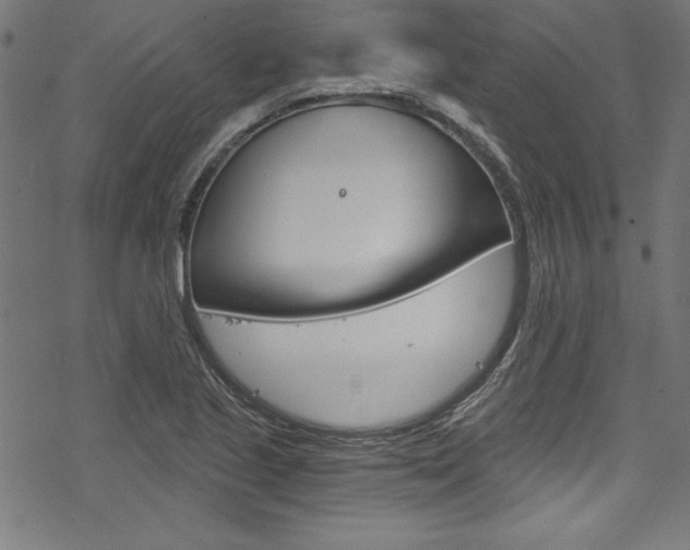 X0000078301221200611031009