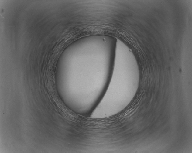 X0000078301249200611031008