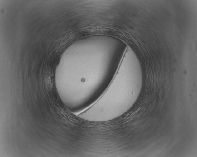 X0000078301250200611031008