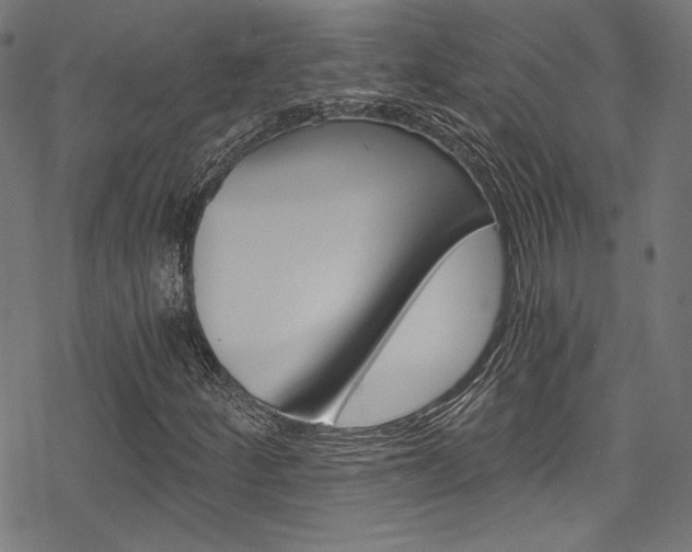 X0000078301252200611031008