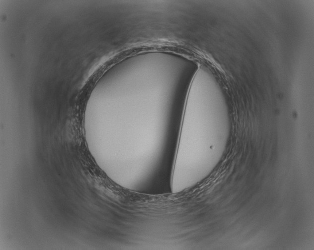 X0000078301256200611031008