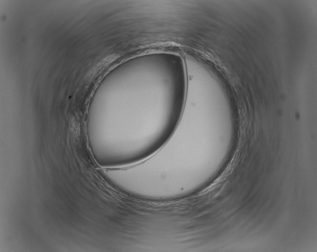 X0000078301257200611031008