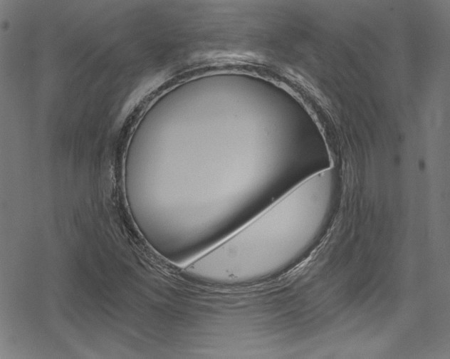 X0000078301261200611031008