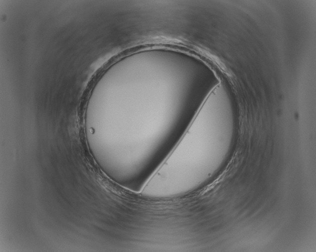 X0000078301264200611031008