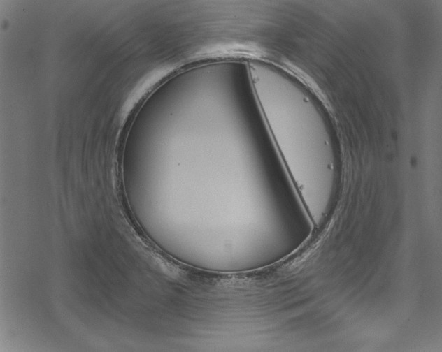 X0000078301277200611031008