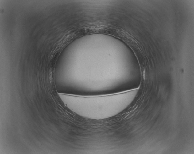 X0000078301299200611031007