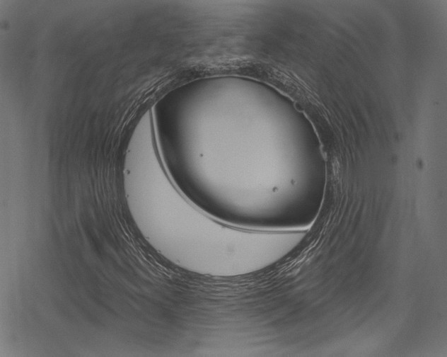 X0000078301300200611031007